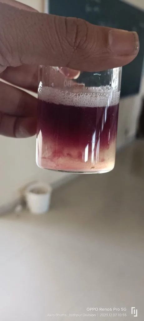 Bio Lab