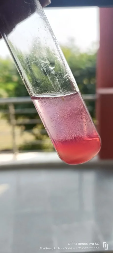 Bio Lab
